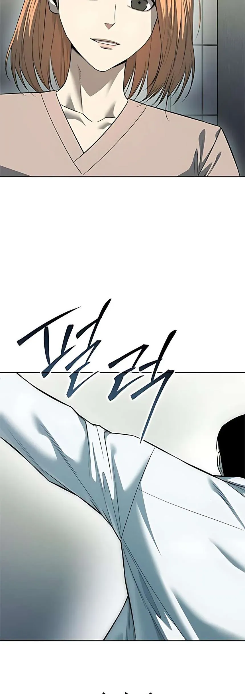 Sát Thủ Huyết Y