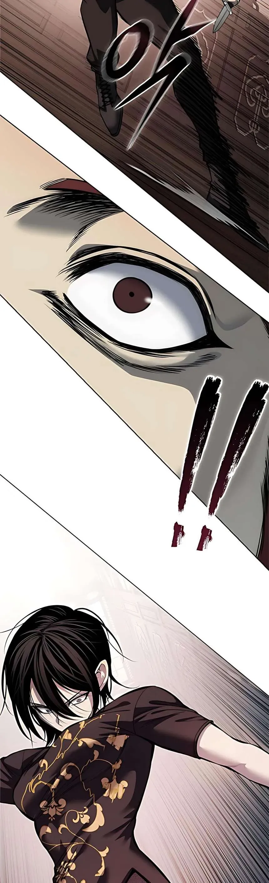 Sát Thủ Huyết Y