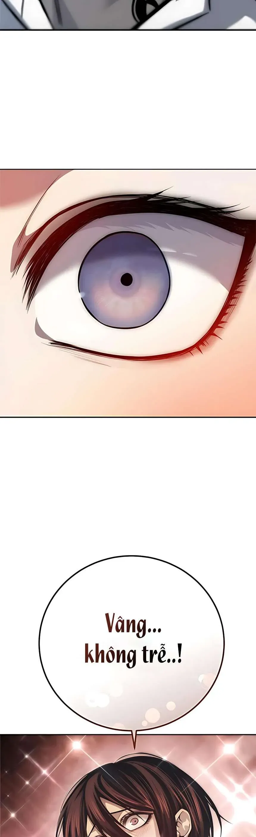 Sát Thủ Huyết Y