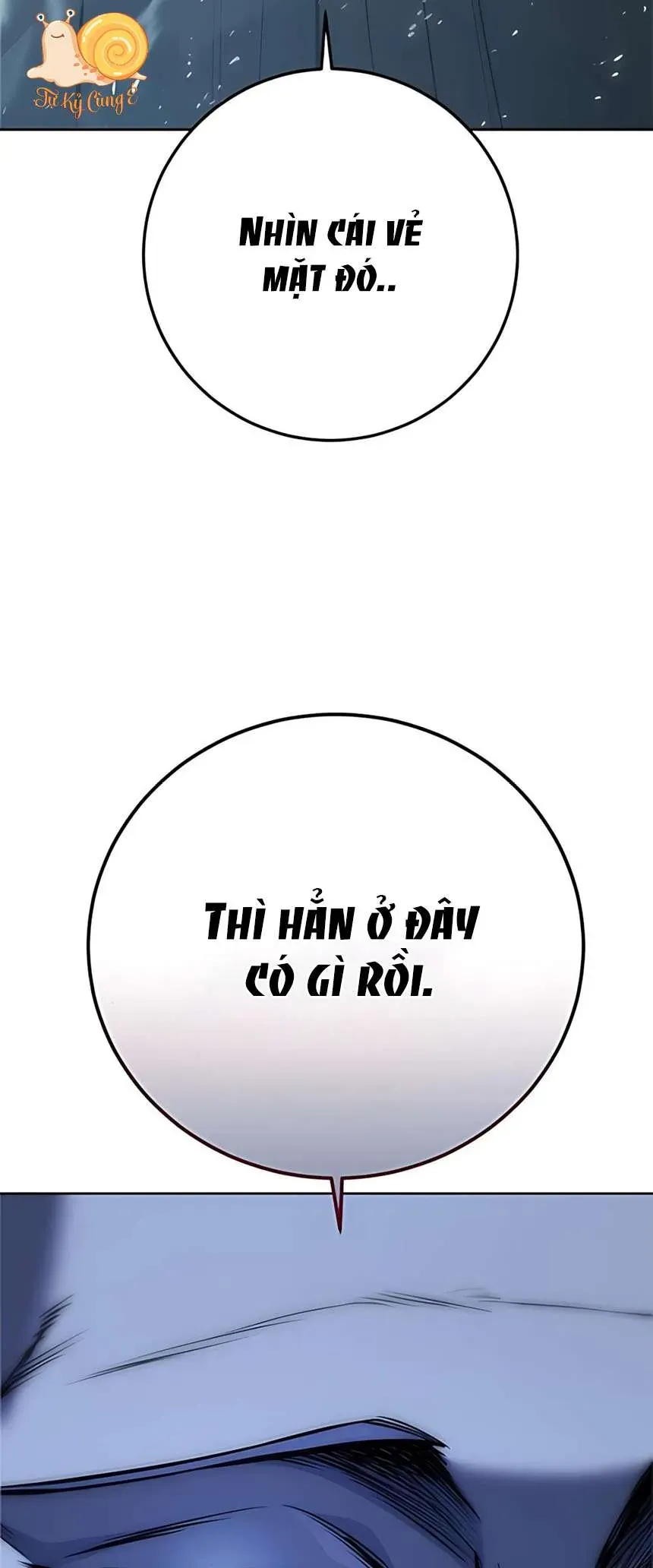 Sát Thủ Huyết Y