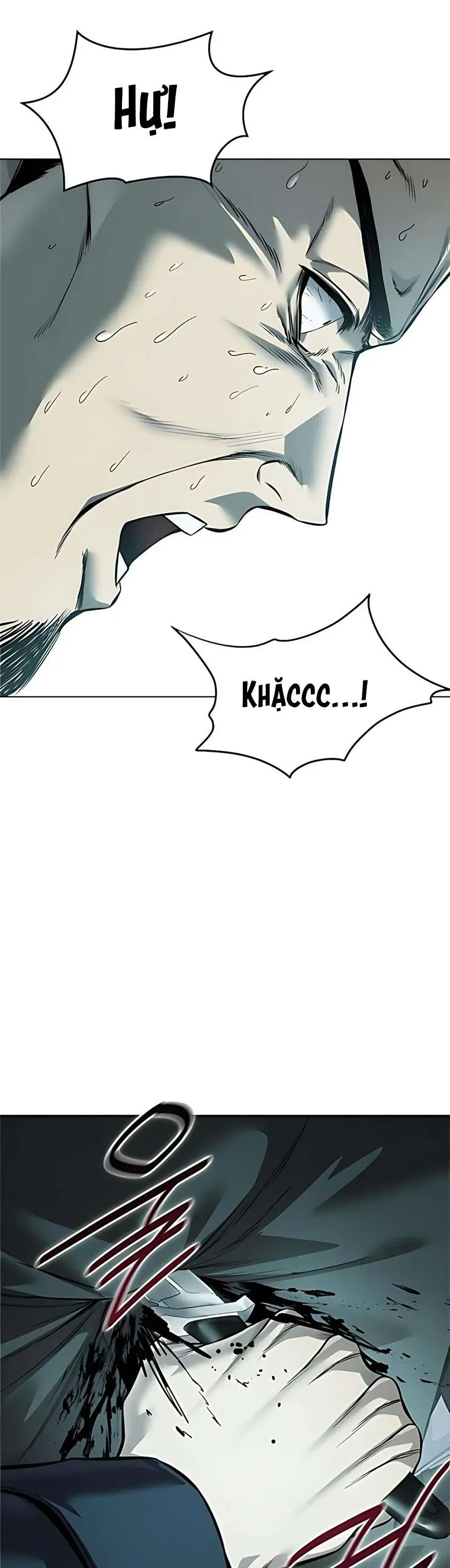 Sát Thủ Huyết Y