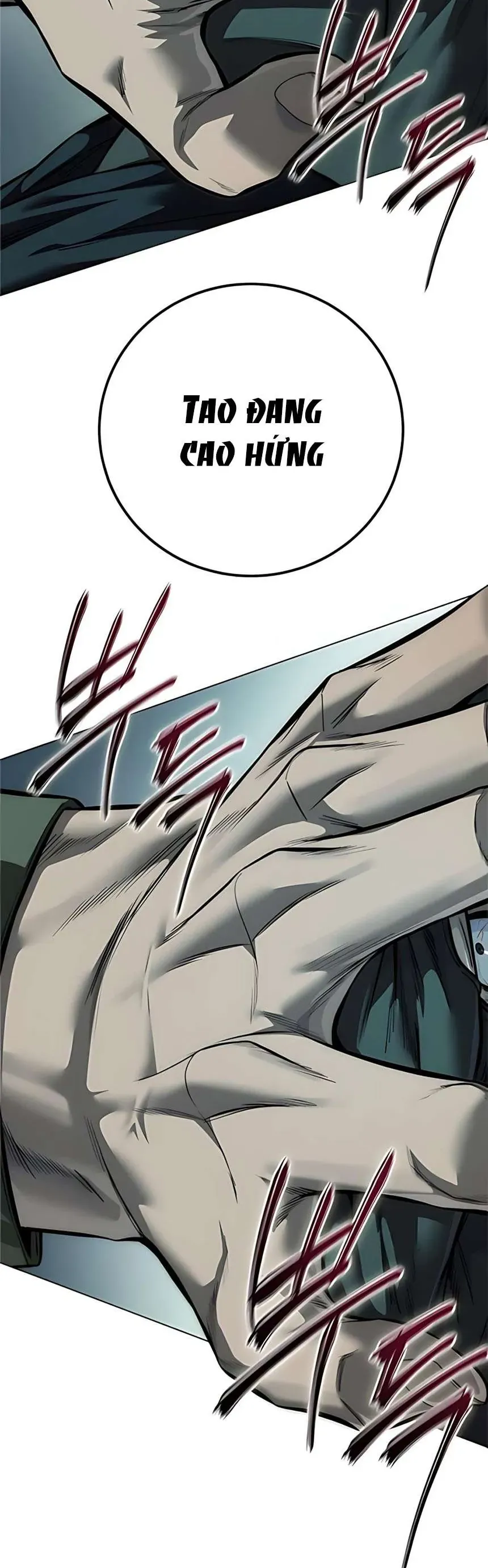 Sát Thủ Huyết Y