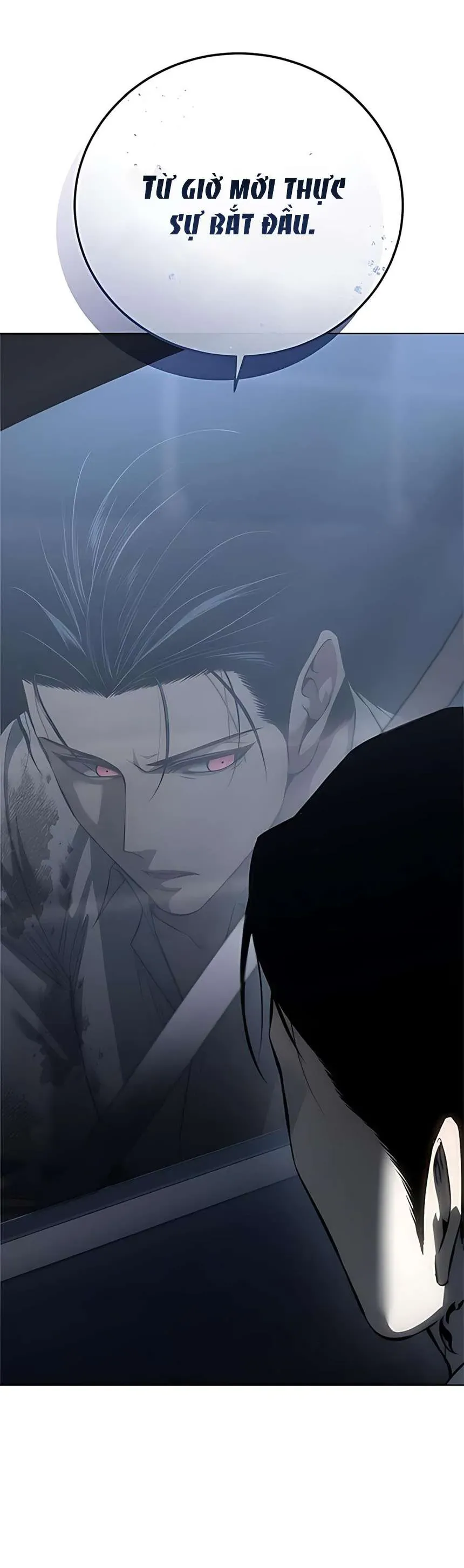 Sát Thủ Huyết Y