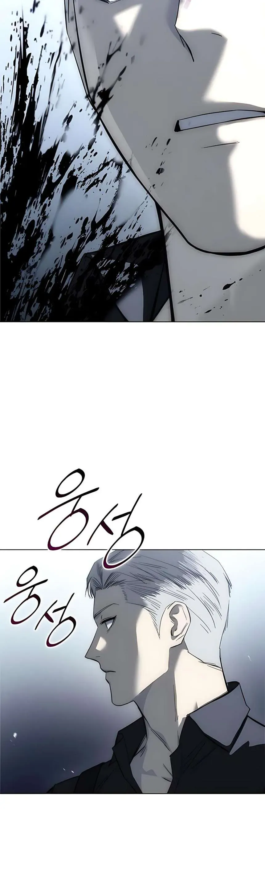 Sát Thủ Huyết Y