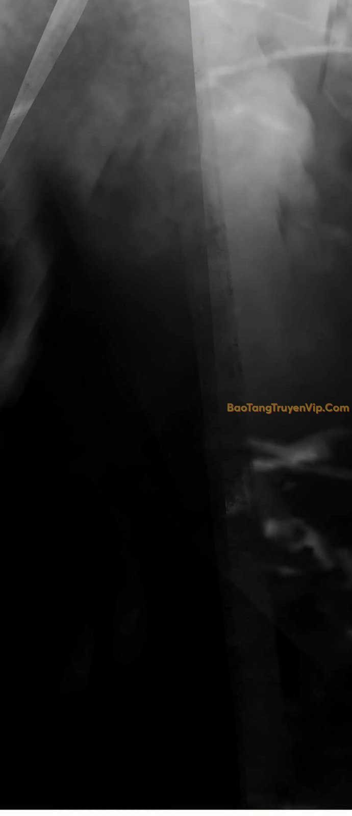 Sát Thủ Huyết Y