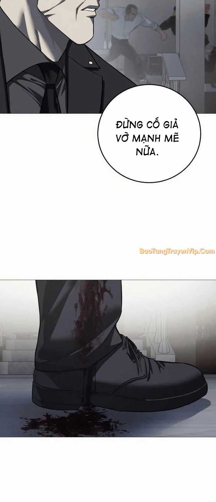 Sát Thủ Huyết Y