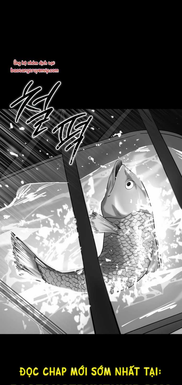 Sát Thủ Huyết Y