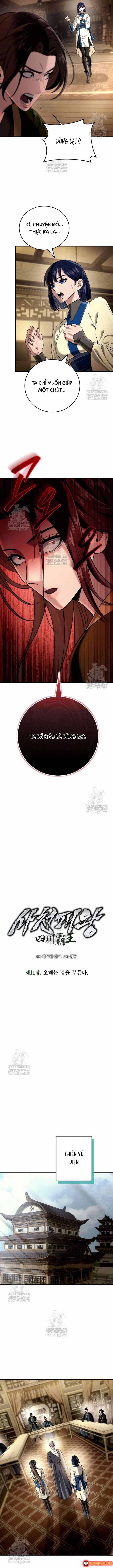 Tứ Xuyên Bá Vương - Chương 11 - Trang 13