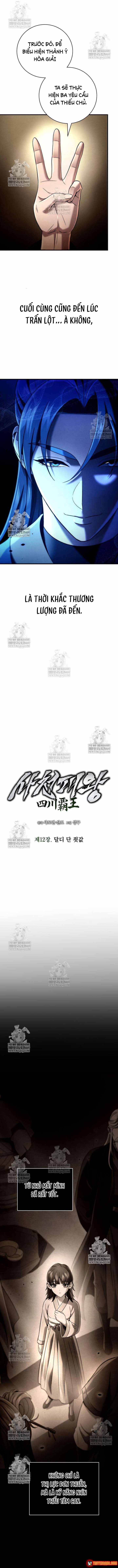 Tứ Xuyên Bá Vương - Chương 12 - Trang 8