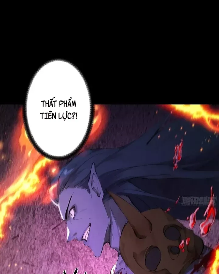 Gặp Mạnh Thì Càng Mạnh, Tu Vi Của Ta Không Giới Hạn - Chương 114 - Trang 11