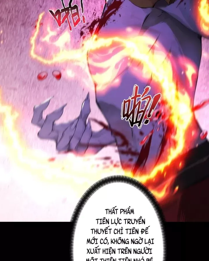 Gặp Mạnh Thì Càng Mạnh, Tu Vi Của Ta Không Giới Hạn - Chương 114 - Trang 12