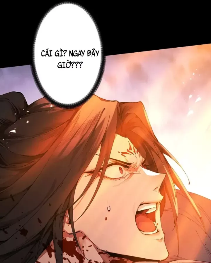 Gặp Mạnh Thì Càng Mạnh, Tu Vi Của Ta Không Giới Hạn - Chương 114 - Trang 37
