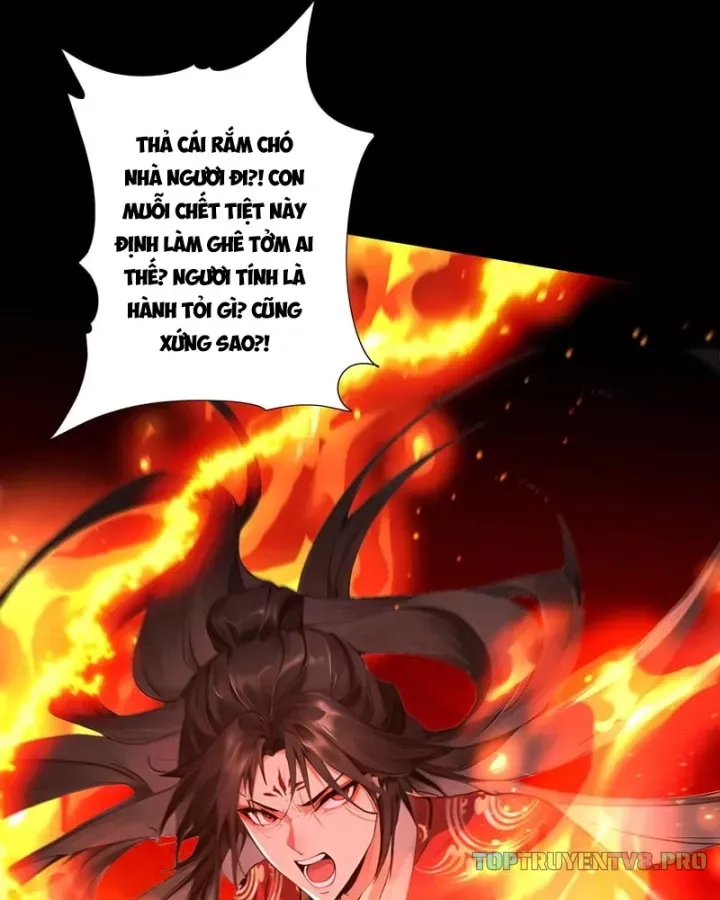 Gặp Mạnh Thì Càng Mạnh, Tu Vi Của Ta Không Giới Hạn - Chương 114 - Trang 6