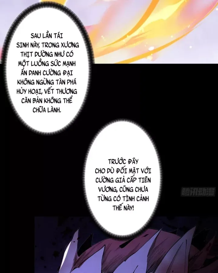 Gặp Mạnh Thì Càng Mạnh, Tu Vi Của Ta Không Giới Hạn - Chương 115 - Trang 11