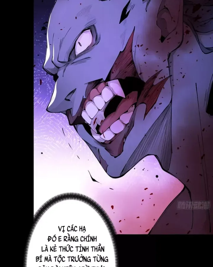 Gặp Mạnh Thì Càng Mạnh, Tu Vi Của Ta Không Giới Hạn - Chương 115 - Trang 12