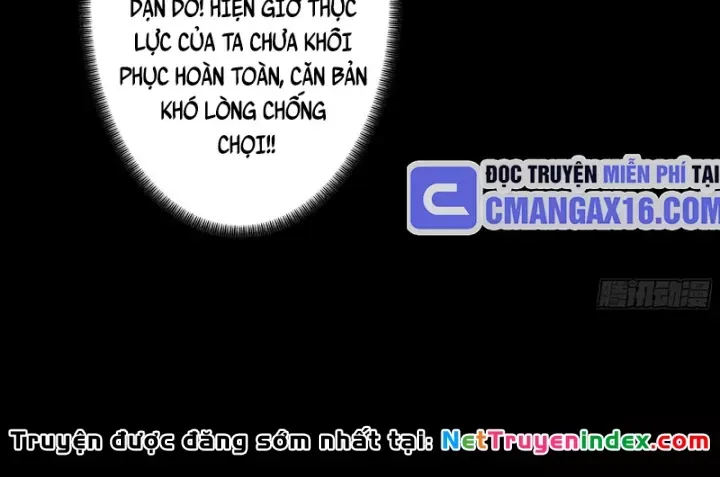 Gặp Mạnh Thì Càng Mạnh, Tu Vi Của Ta Không Giới Hạn - Chương 115 - Trang 13