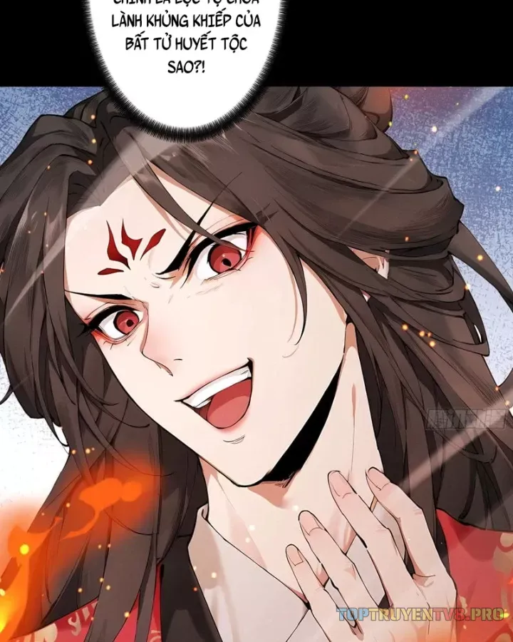 Gặp Mạnh Thì Càng Mạnh, Tu Vi Của Ta Không Giới Hạn - Chương 115 - Trang 3