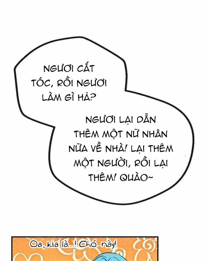 Có Lẽ Là Vô Địch Chap 54 - Next Chap 55