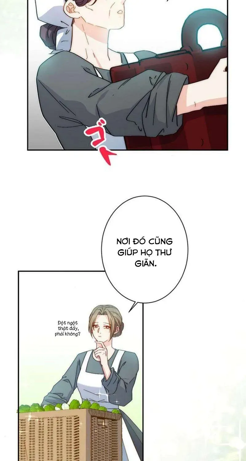 Lần Này, Tôi Sẽ Tránh Cuộc Hôn Nhân Với Anh - Cách Để Rời Xa Anh, Một Người Không Có Tình Yêu Chap 18 - Next Chap 19