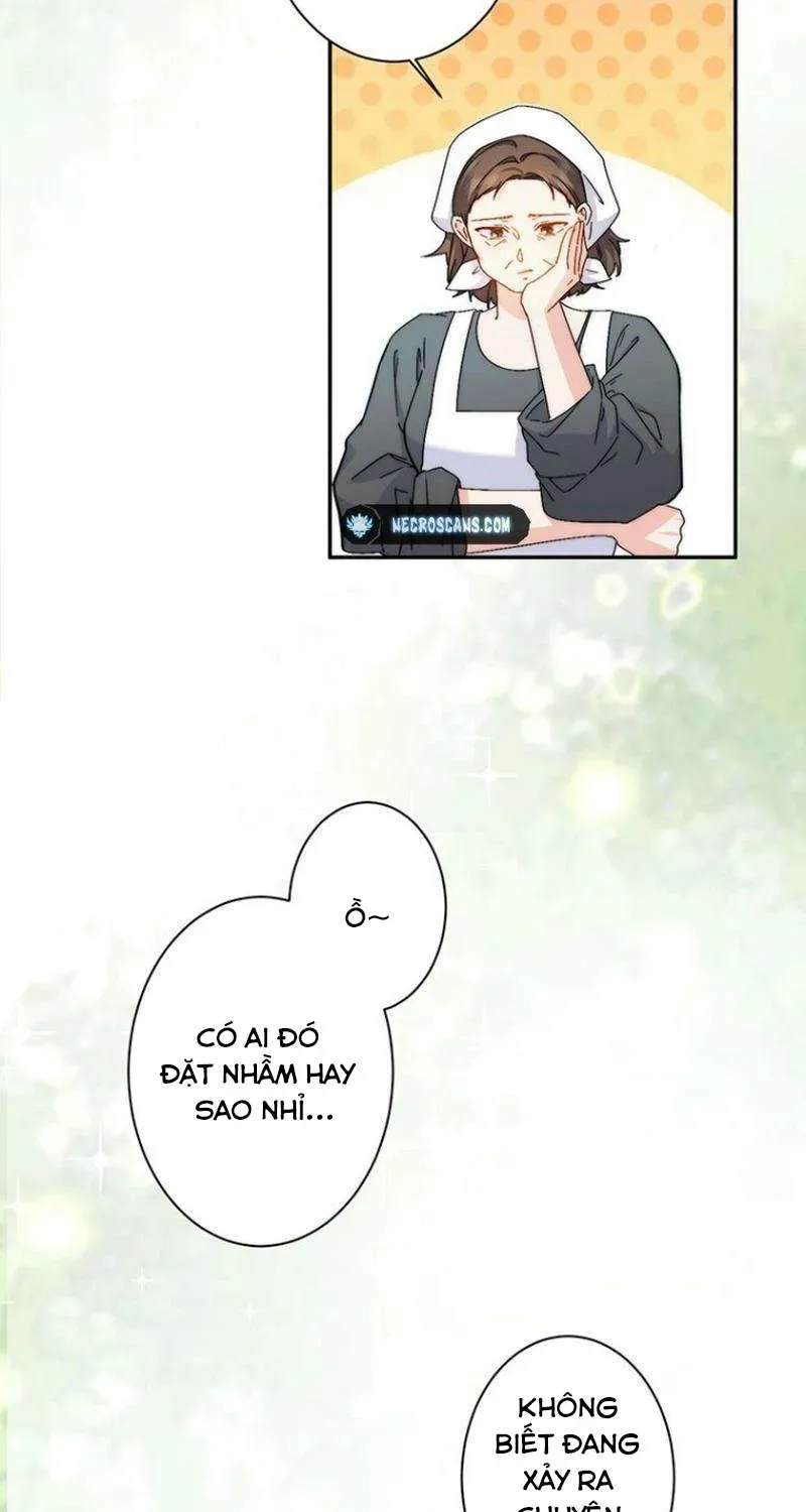 Lần Này, Tôi Sẽ Tránh Cuộc Hôn Nhân Với Anh - Cách Để Rời Xa Anh, Một Người Không Có Tình Yêu Chap 18 - Next Chap 19