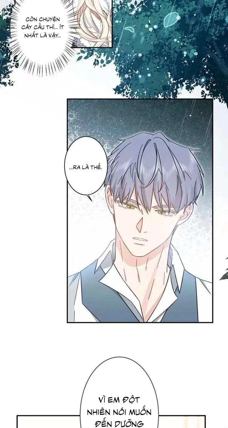 Lần Này, Tôi Sẽ Tránh Cuộc Hôn Nhân Với Anh - Cách Để Rời Xa Anh, Một Người Không Có Tình Yêu Chap 19 - Next Chap 20