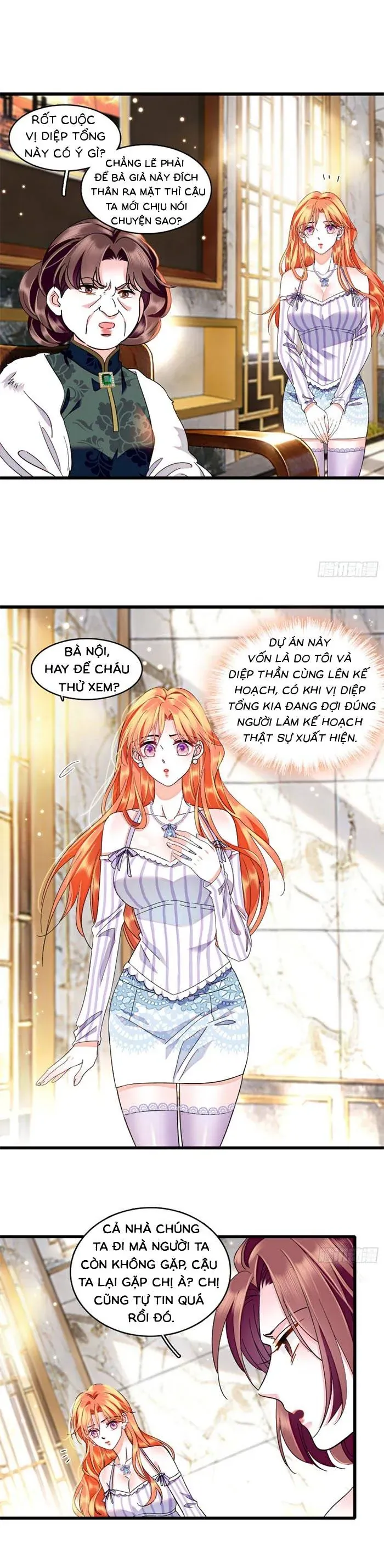 Tỷ Phú Ở Rể - Chương 24 - Trang 8