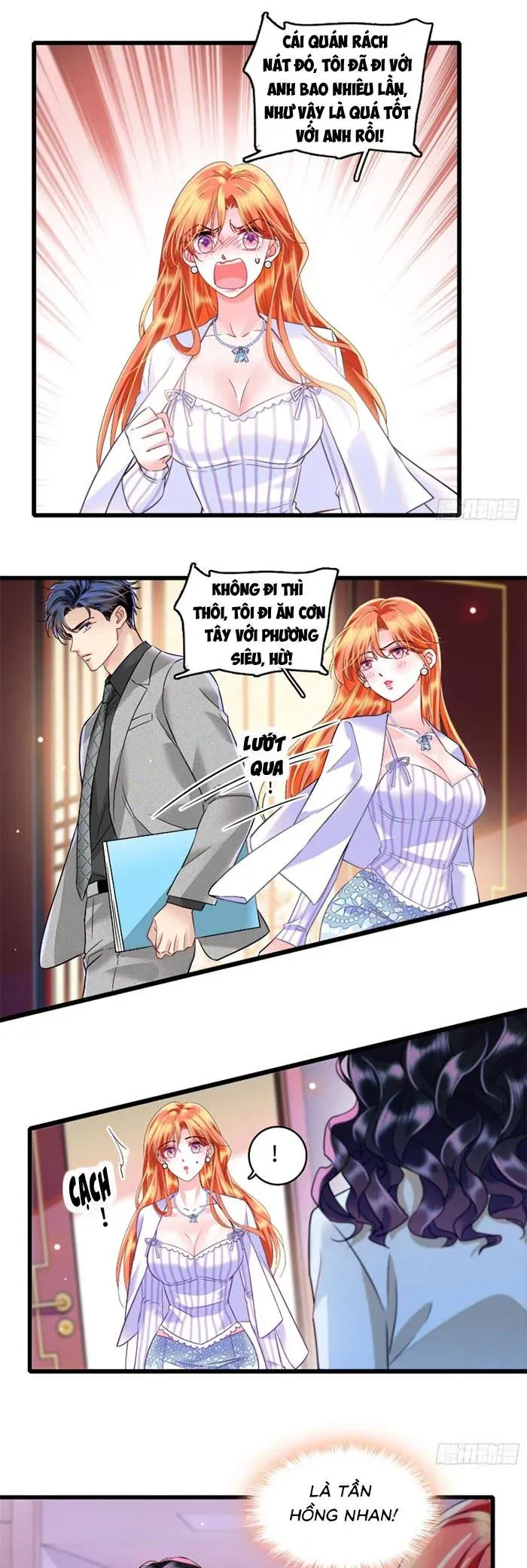 Tỷ Phú Ở Rể - Chương 25 - Trang 6