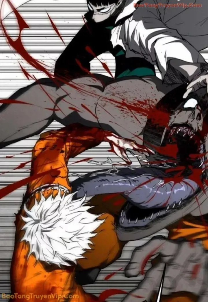 Truyện tranh - Trang 13