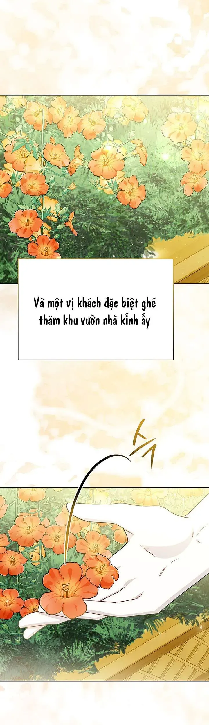 Tôi Sẽ Không Hối Tiếc Vì Anh Đâu - Chương 140 - Trang 11