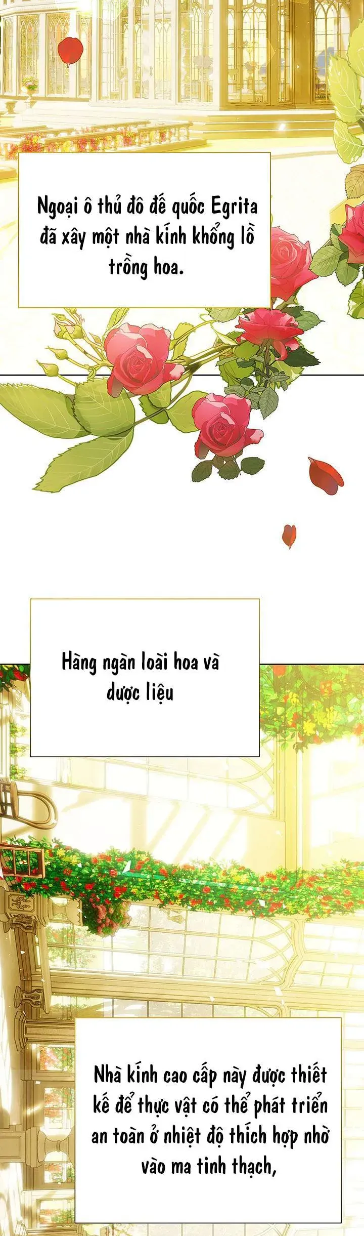 Tôi Sẽ Không Hối Tiếc Vì Anh Đâu - Chương 140 - Trang 9
