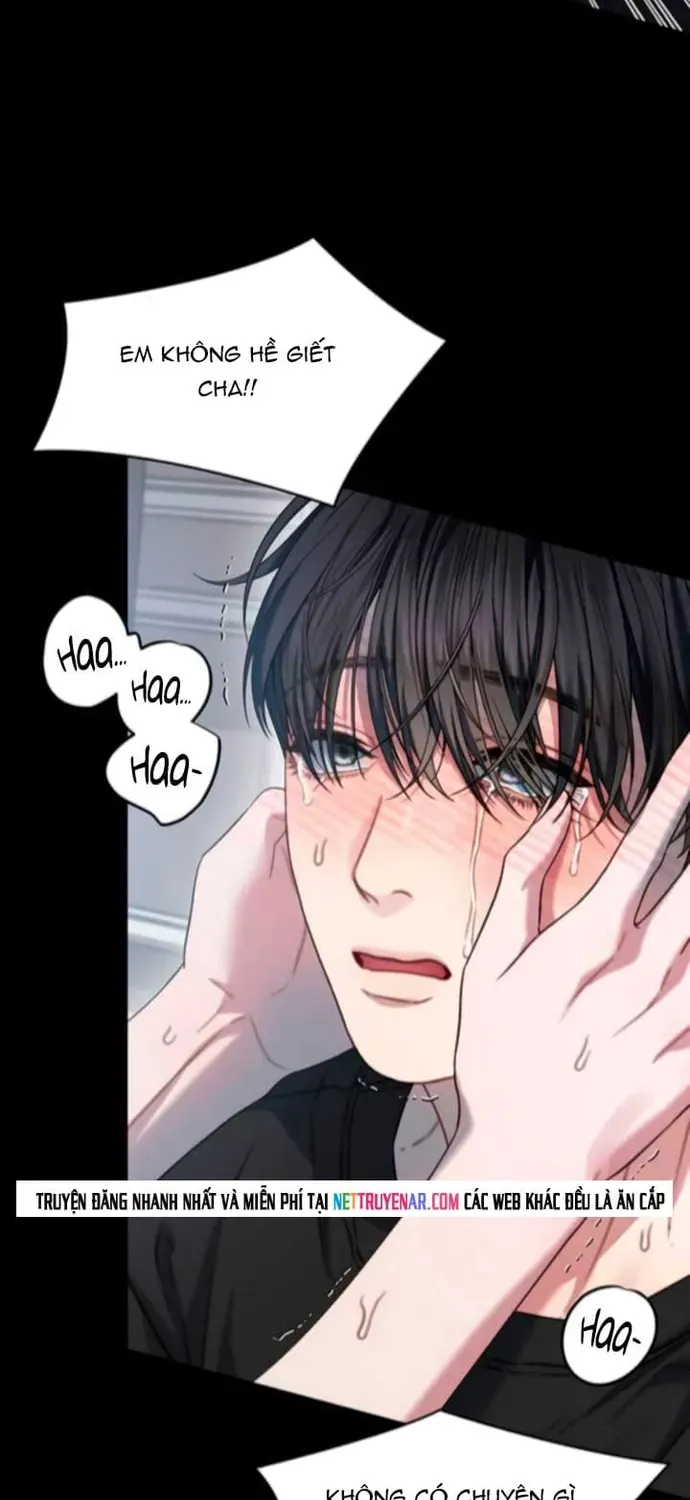 Cạm Bẫy Thanh Lịch