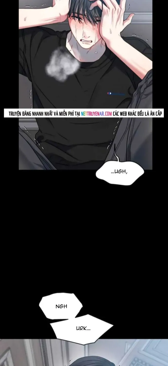 Cạm Bẫy Thanh Lịch