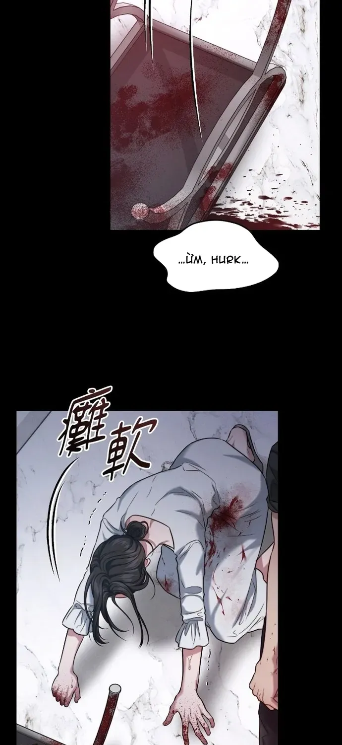 Cạm Bẫy Thanh Lịch