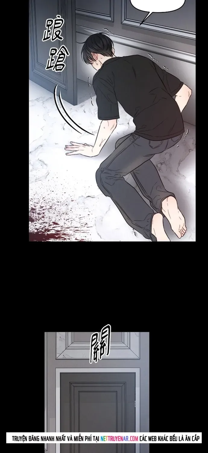 Cạm Bẫy Thanh Lịch