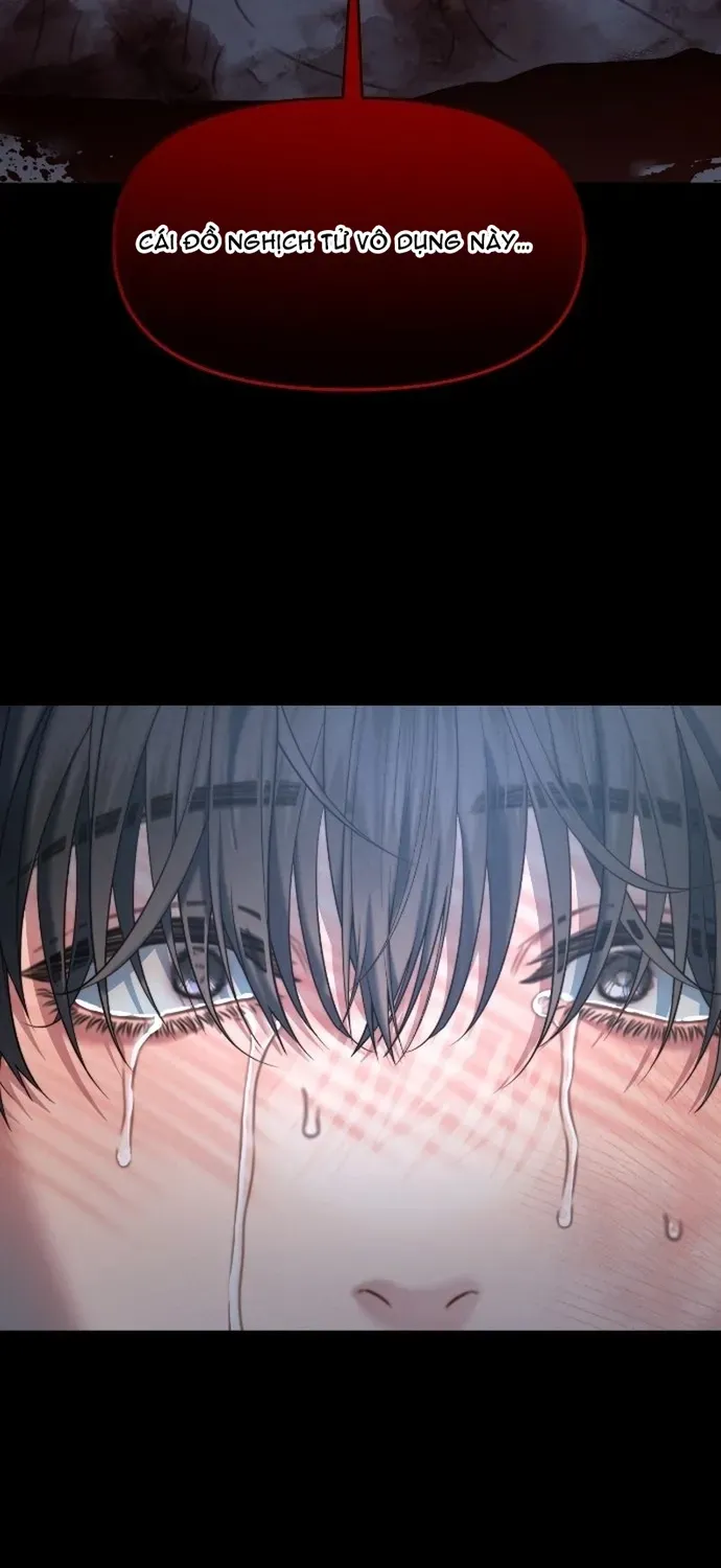 Cạm Bẫy Thanh Lịch