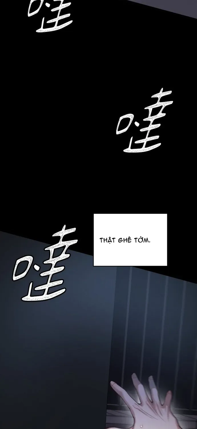 Cạm Bẫy Thanh Lịch