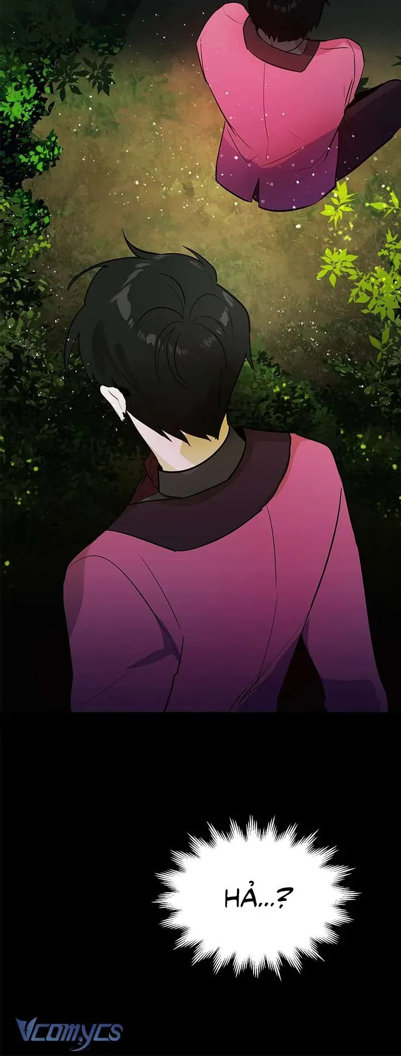 Chinh Phục Trái Tim [Chap 1-70] — trang 31