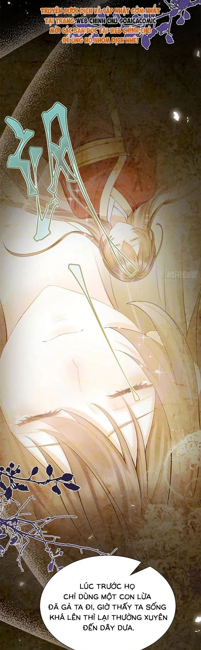 Mang Cả Siêu Thị Xuyên Không Về Nuôi Thừa Tướng - Chương 82 - Trang 15