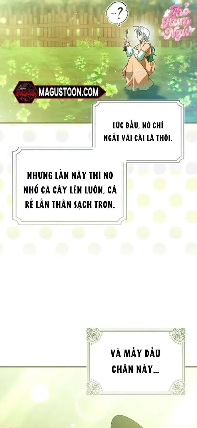 [ Ss2 ] Chồng Của Tôi Giống Nam Chính Quá Đi - Chương 14 - Trang 6