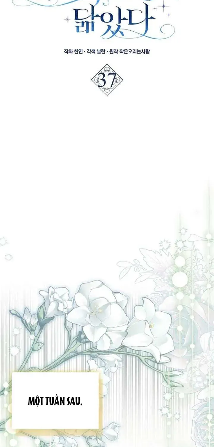 [ Ss2 ] Chồng Của Tôi Giống Nam Chính Quá Đi - Chương 37 - Trang 29
