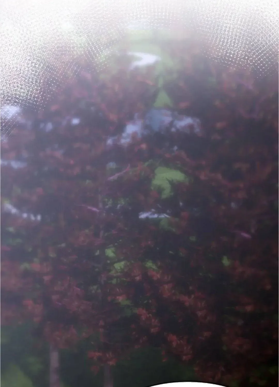 Diệt Vong Trong Tình Yêu Của Hắn - Chương 51 - Trang 3