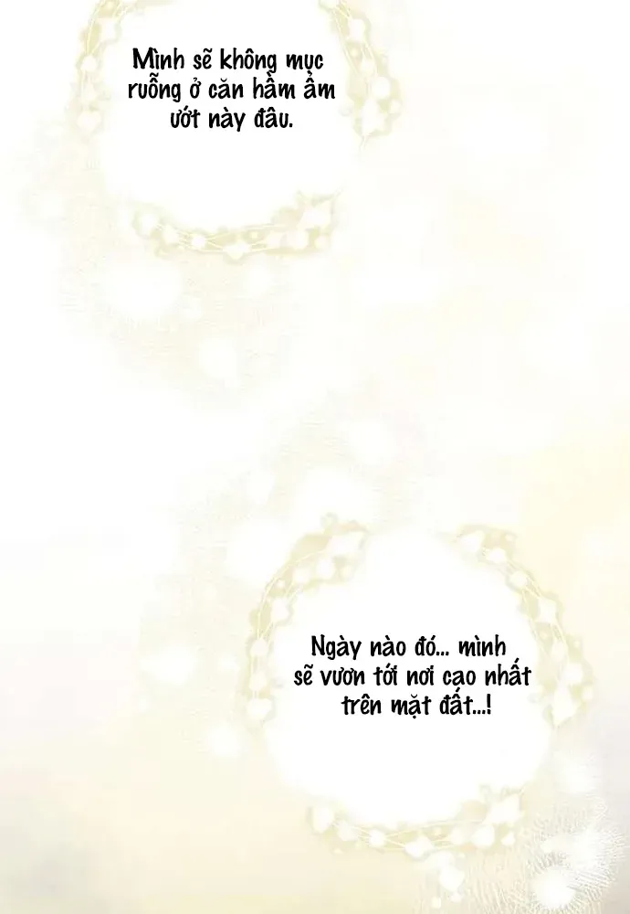 Kế Hoạch Tiễn Chồng Xuống Vực Thẳm - Chương 49 - Trang 19