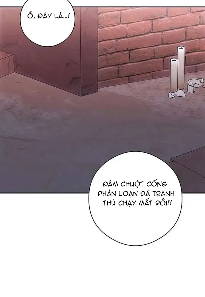 Kế Hoạch Tiễn Chồng Xuống Vực Thẳm - Chương 51 - Trang 5