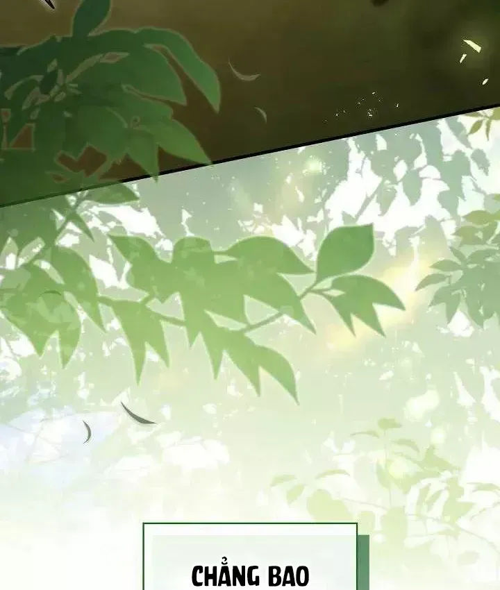 Bức Thư Tình Đến Từ Tương Lai