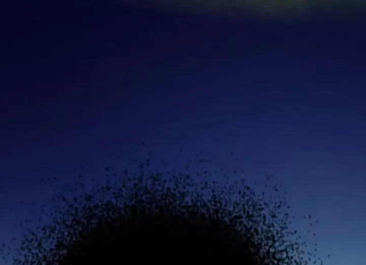 Tu Tiên Thần Tốc - Chương 71 - Trang 93