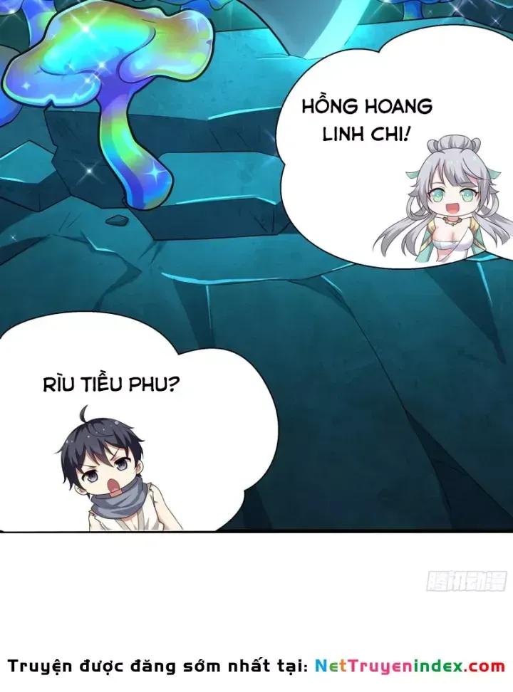 Trụ Vương Tái Sinh Không Muốn Làm Đại Phản Diện - Chương 209 - Trang 8