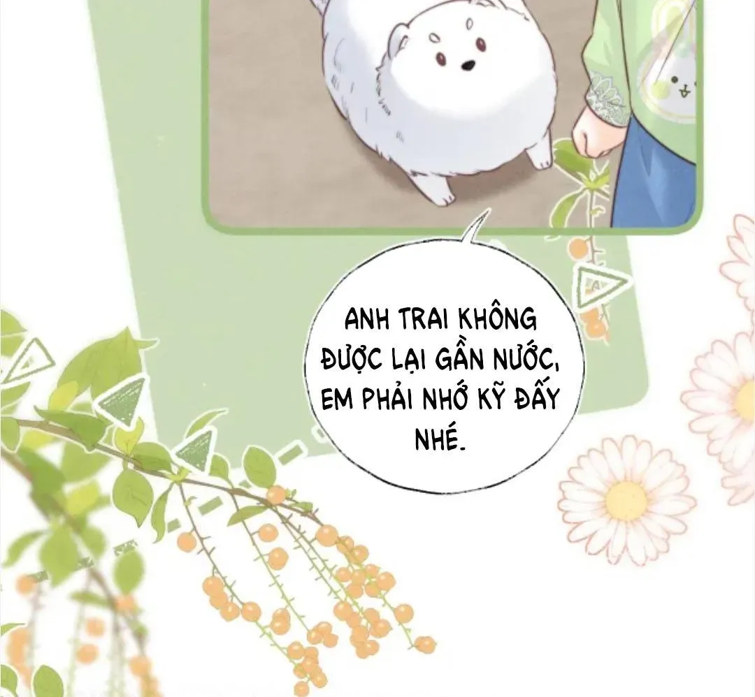 Cô Tổ Mới Ba Tuổi Rưỡi, Ôm Xem Bói Được Cả Mạng Yêu Chiều