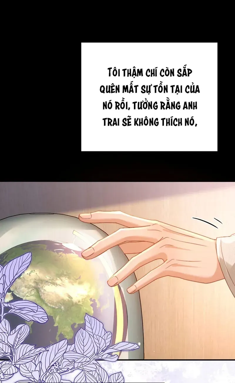 Chất Dị Ứng Đáng Yêu