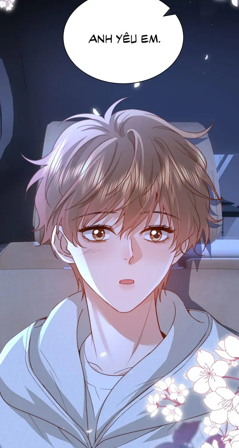 Chất Dị Ứng Đáng Yêu