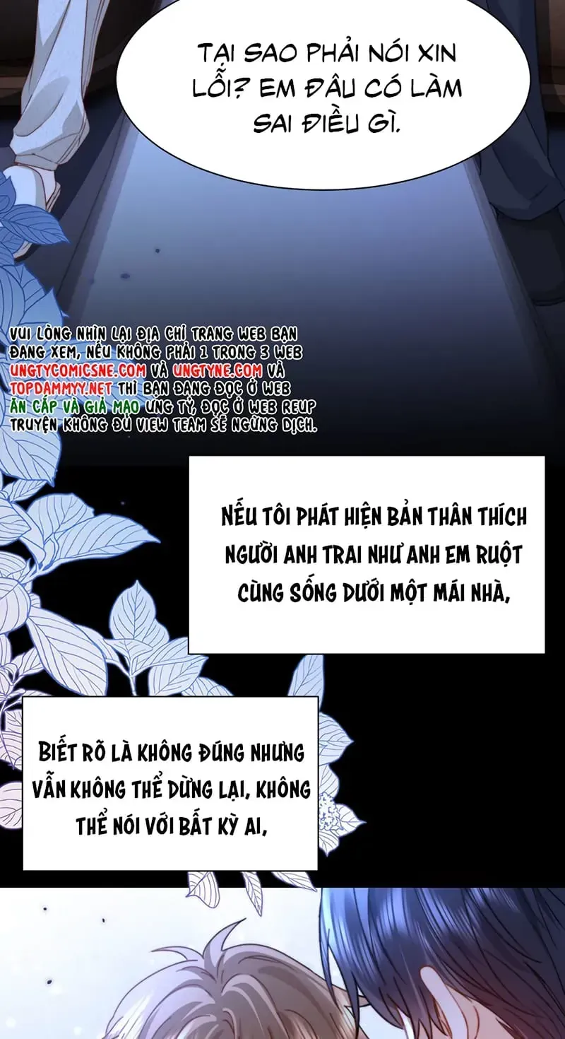 Chất Dị Ứng Đáng Yêu